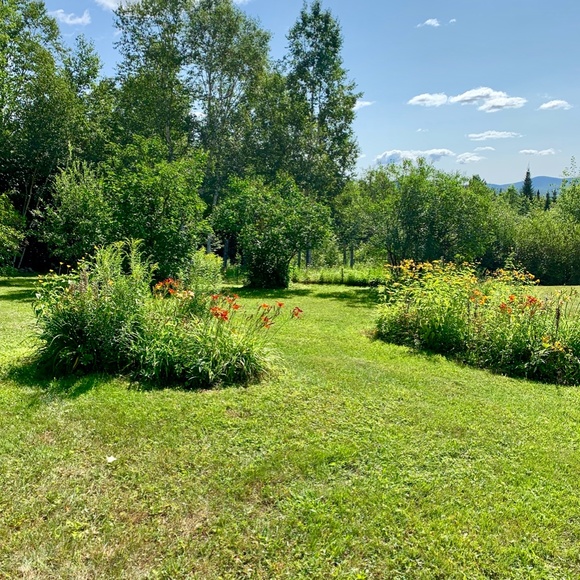 ! diane - Picture 6 of 9